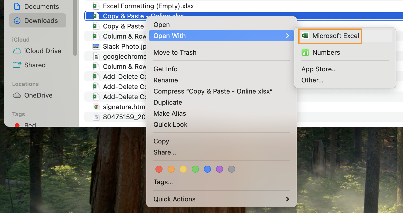 How Do I Open Excel Files on my Mac?